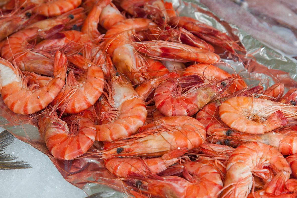 frozen seafood